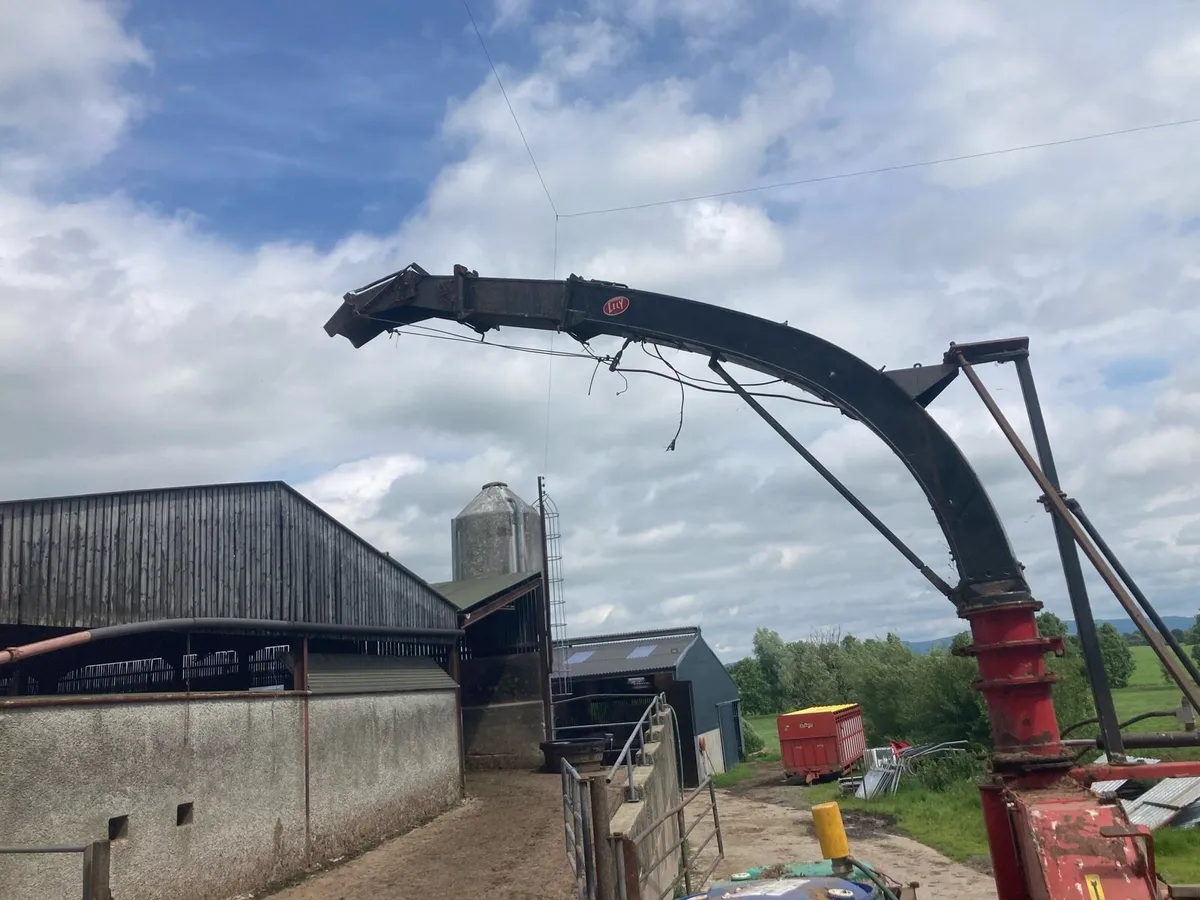 Lely storm - Image 2