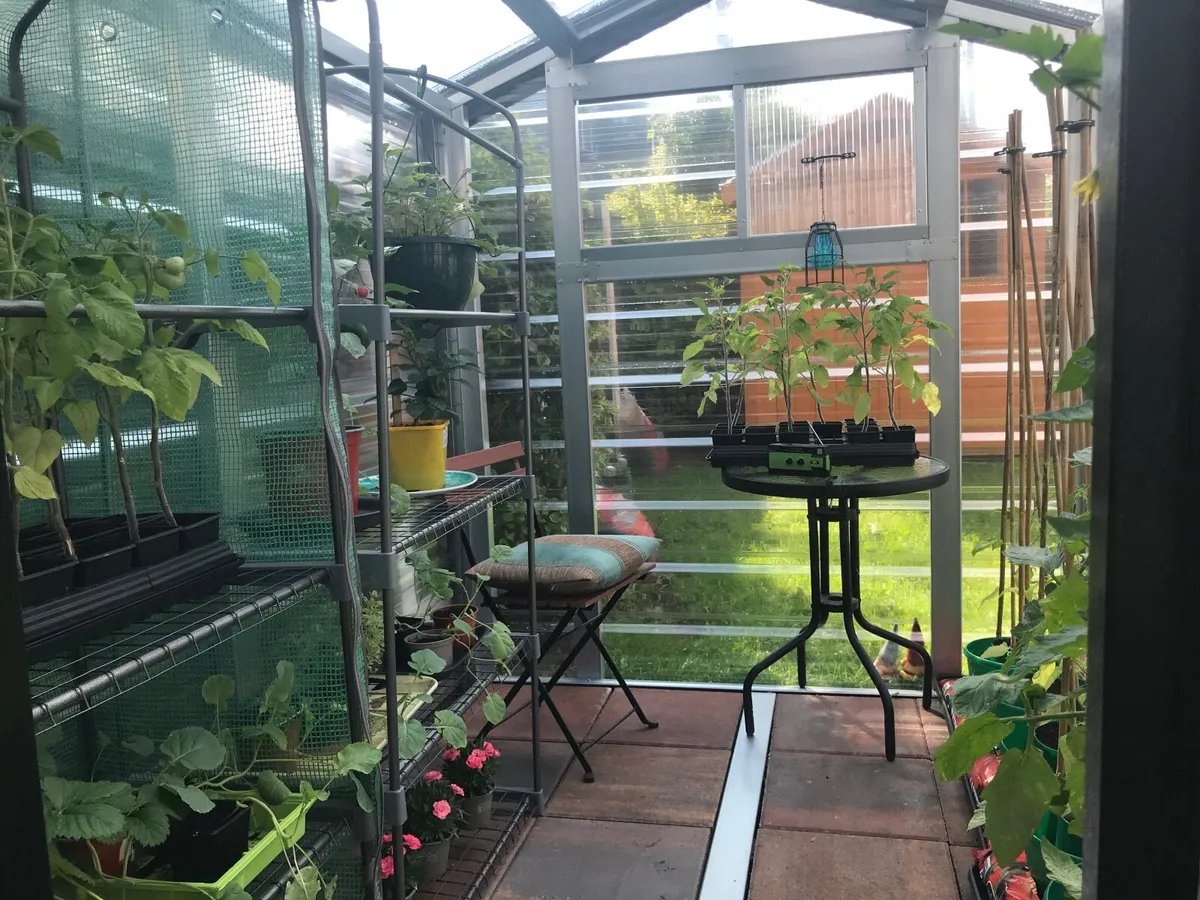 Green house - Image 3