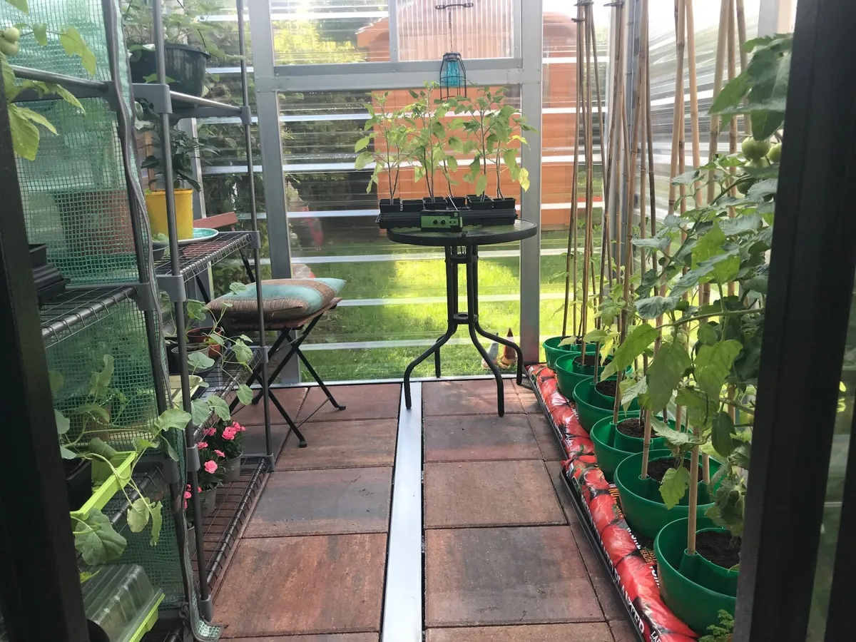 Green house - Image 4