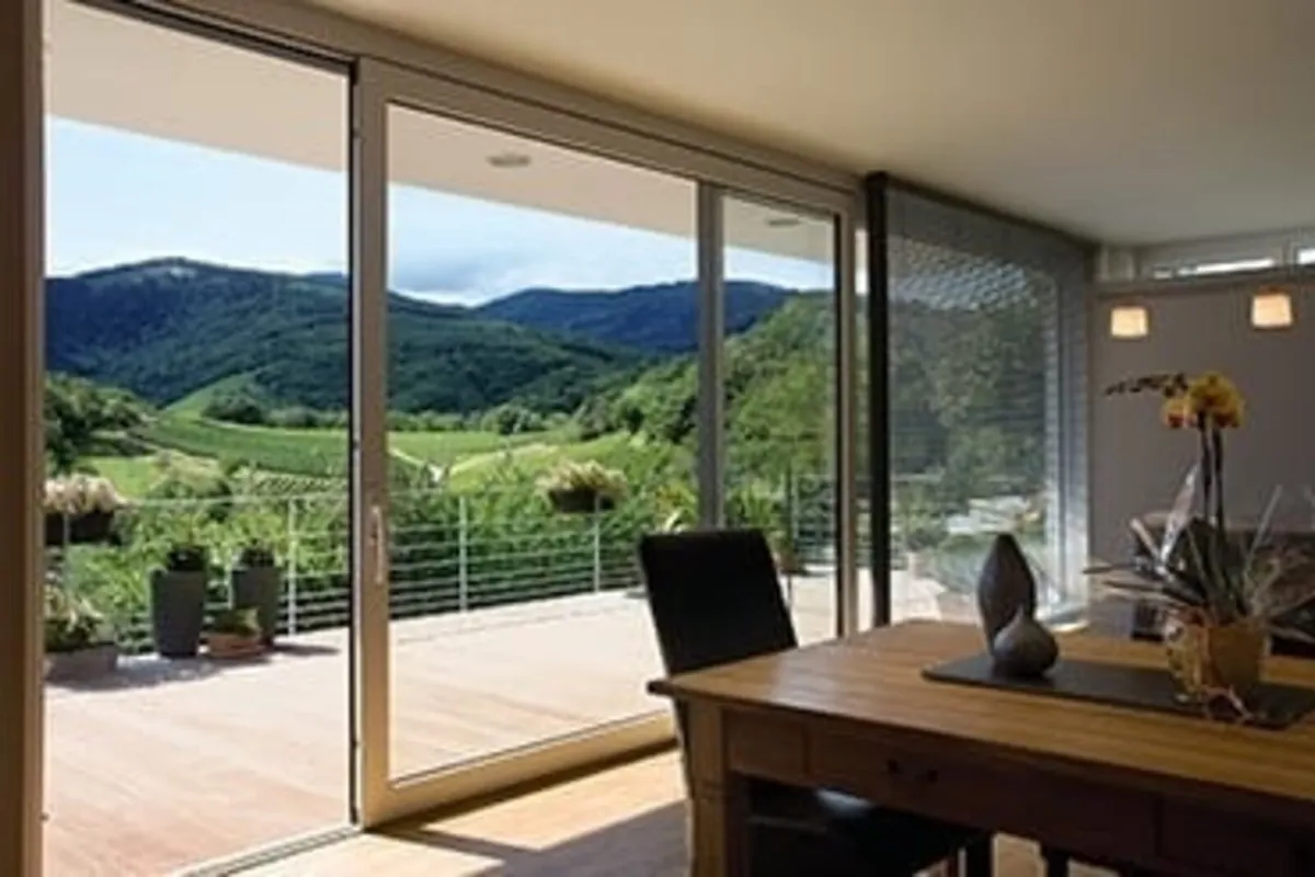 Patio doors - Image 3