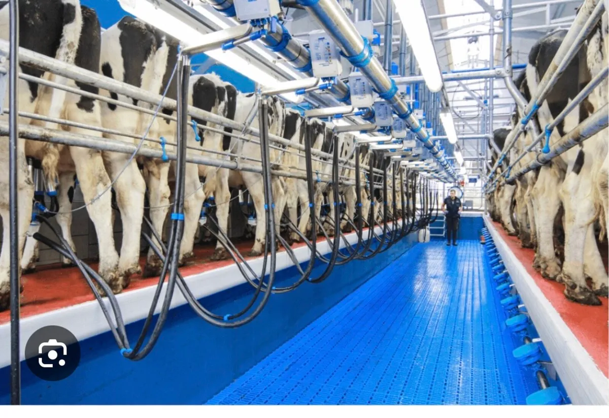 RELIEF MILKER