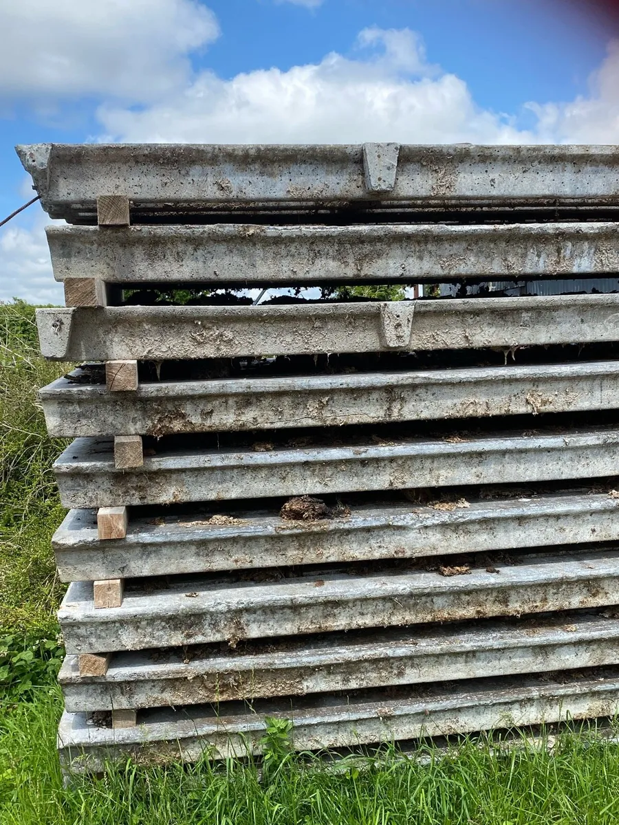 Cattle slats - Image 2