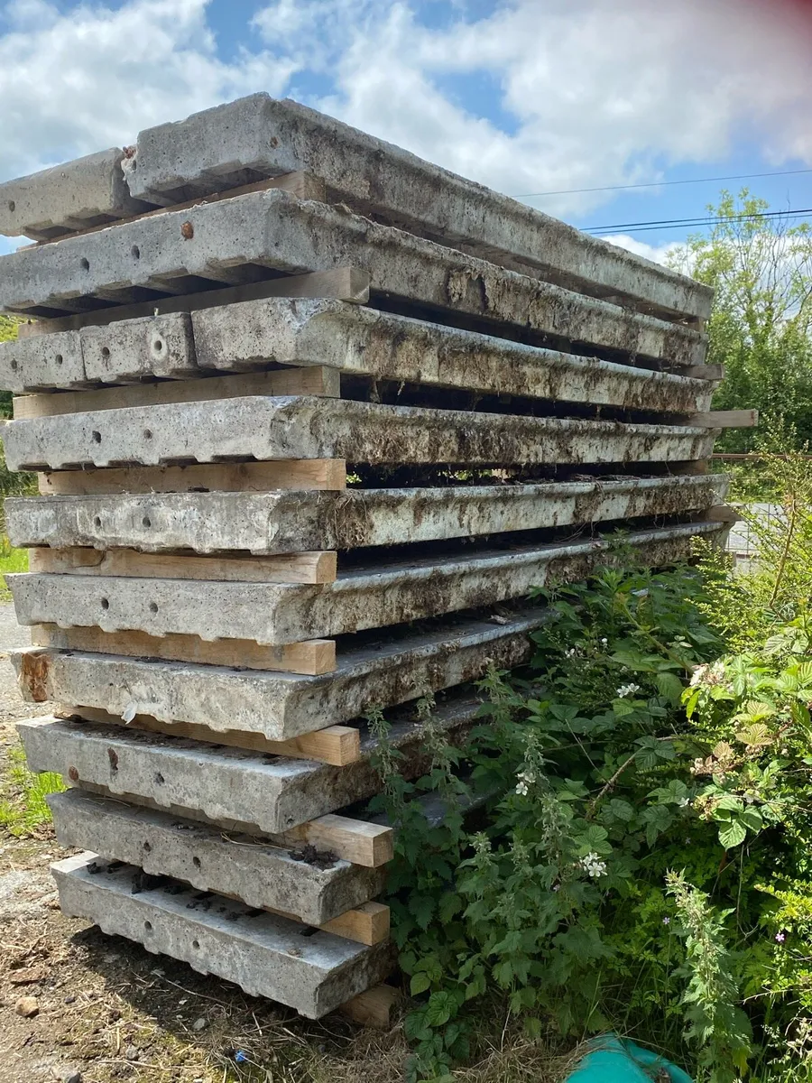 Cattle slats - Image 4