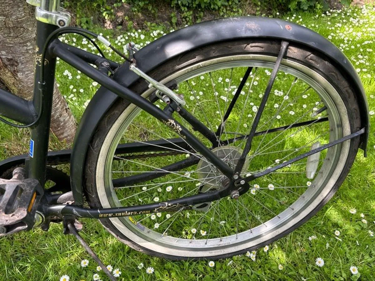 Beach Bike - Image 3