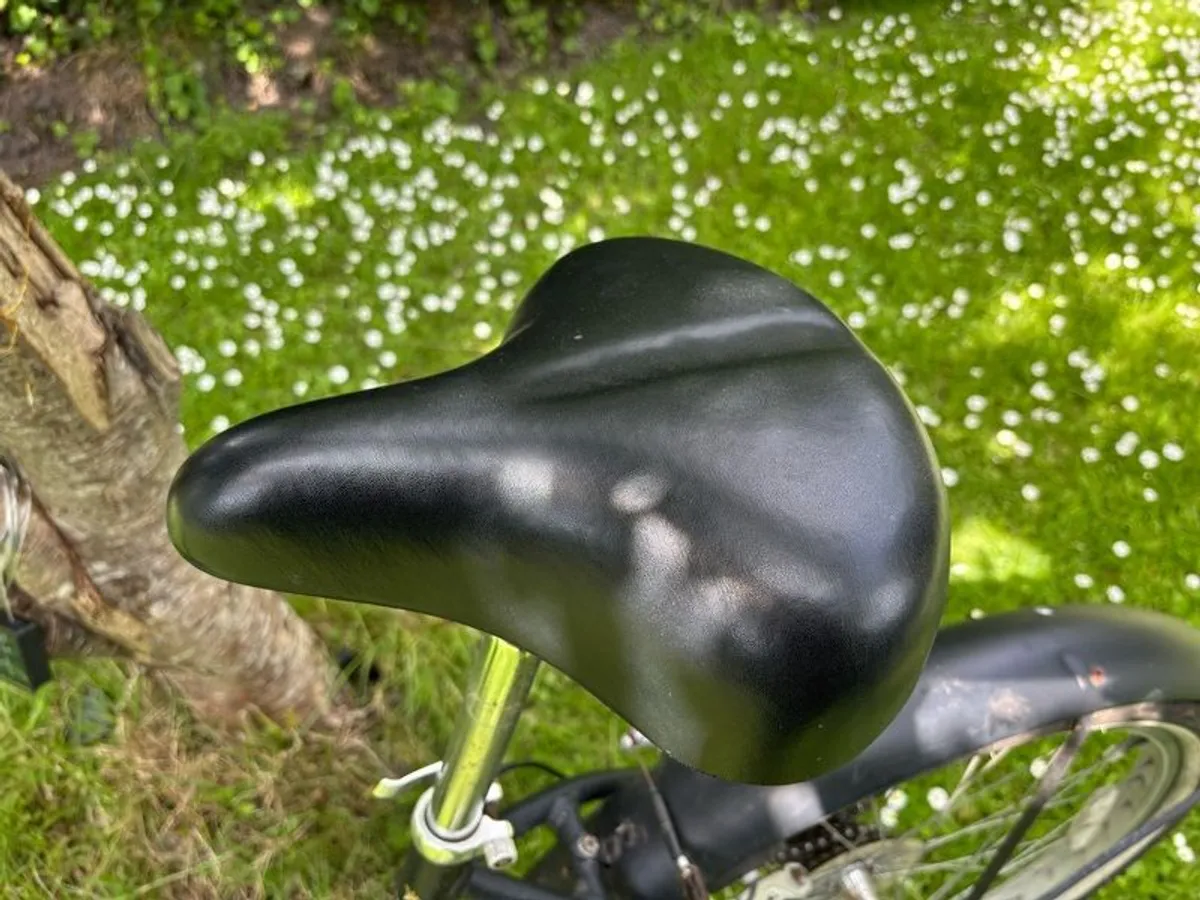 Beach Bike - Image 4