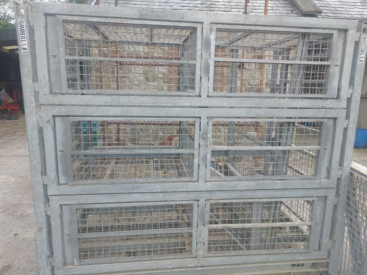 Galvanised Storage Cage - Image 1