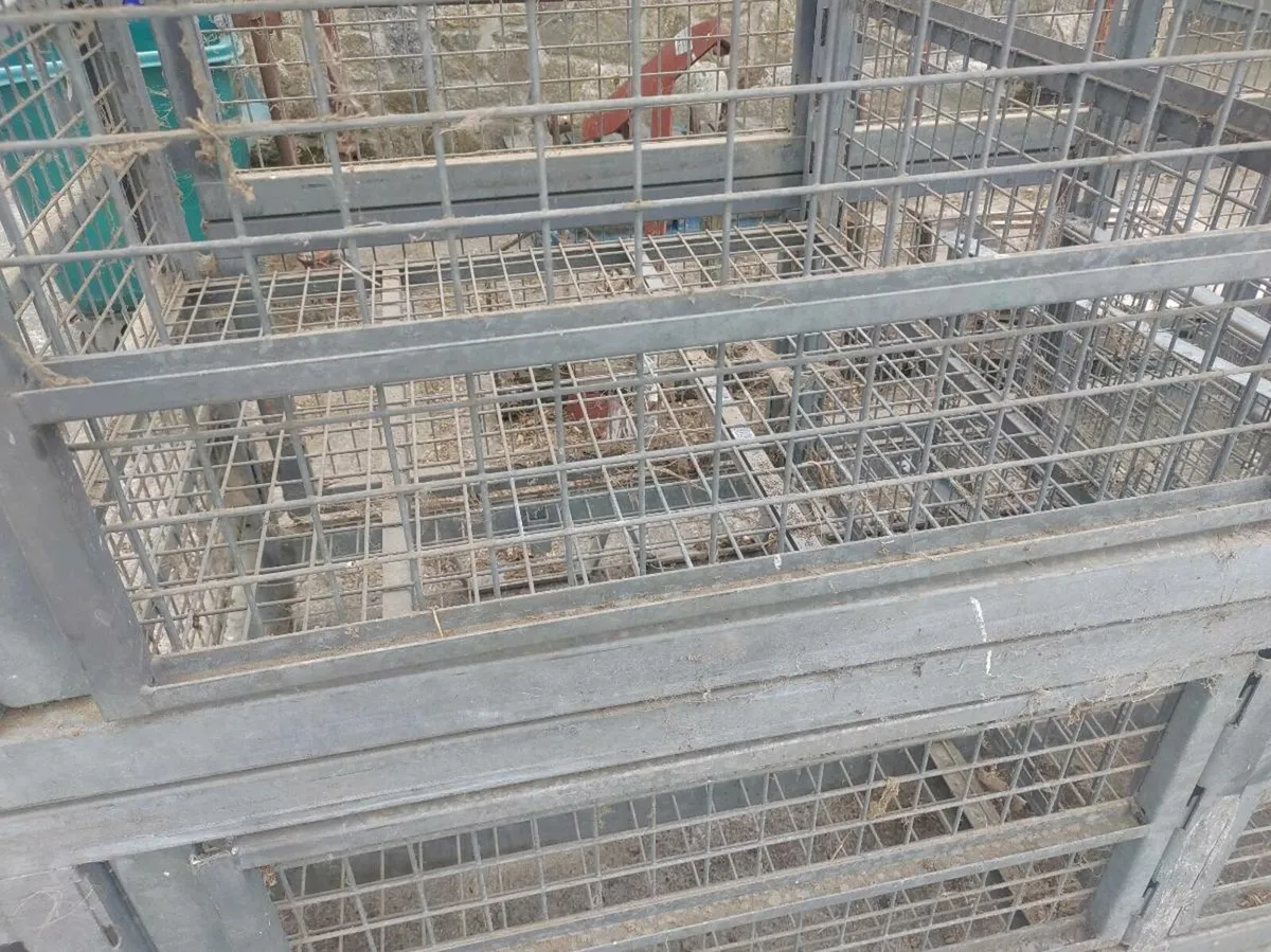 Galvanised Storage Cage - Image 4
