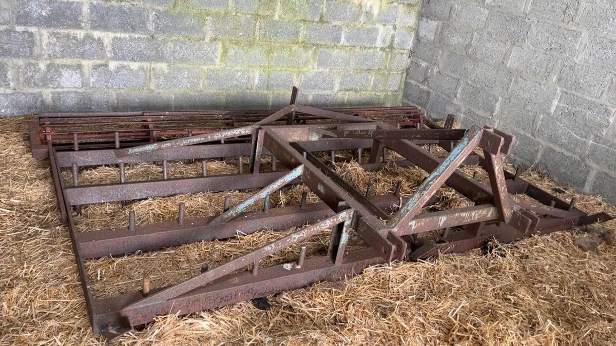 Levelling Pin Harrow - Image 1