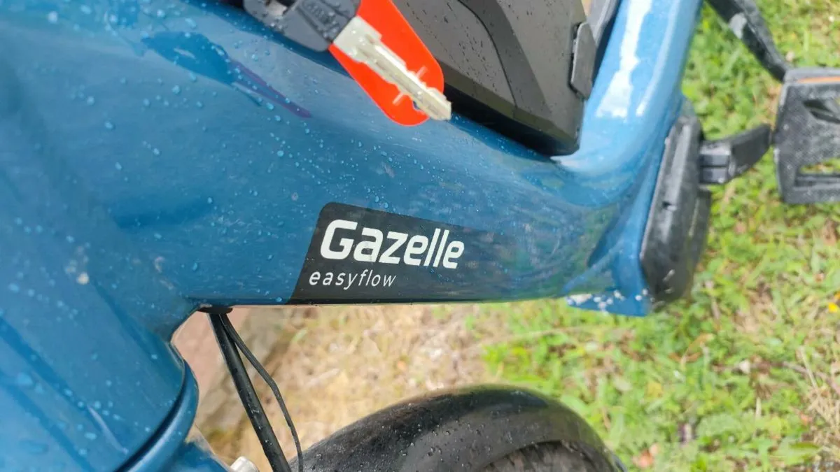 Shimano steps Very low ebike - Image 1