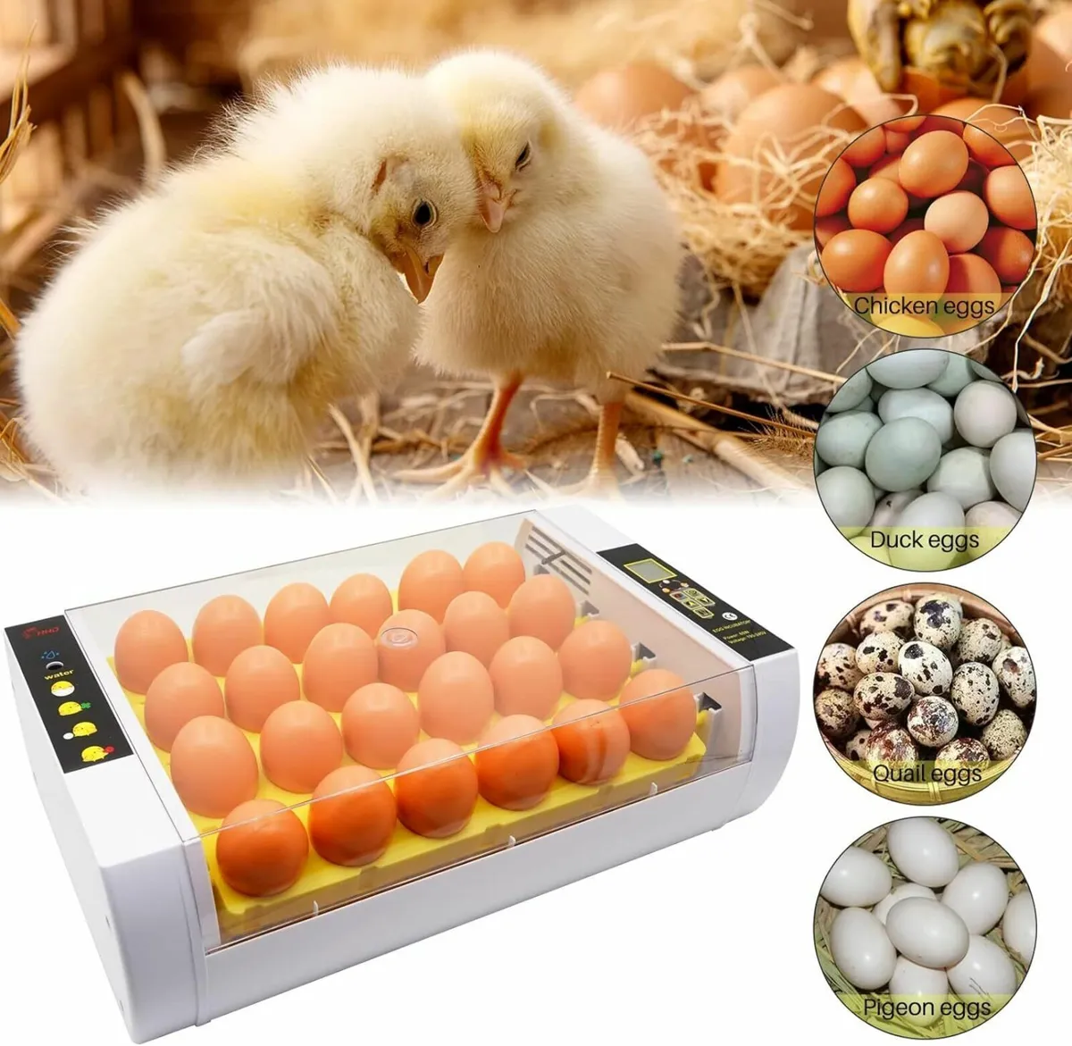 Egg Incubator 24 Eggs with Auto Turner - Image 2