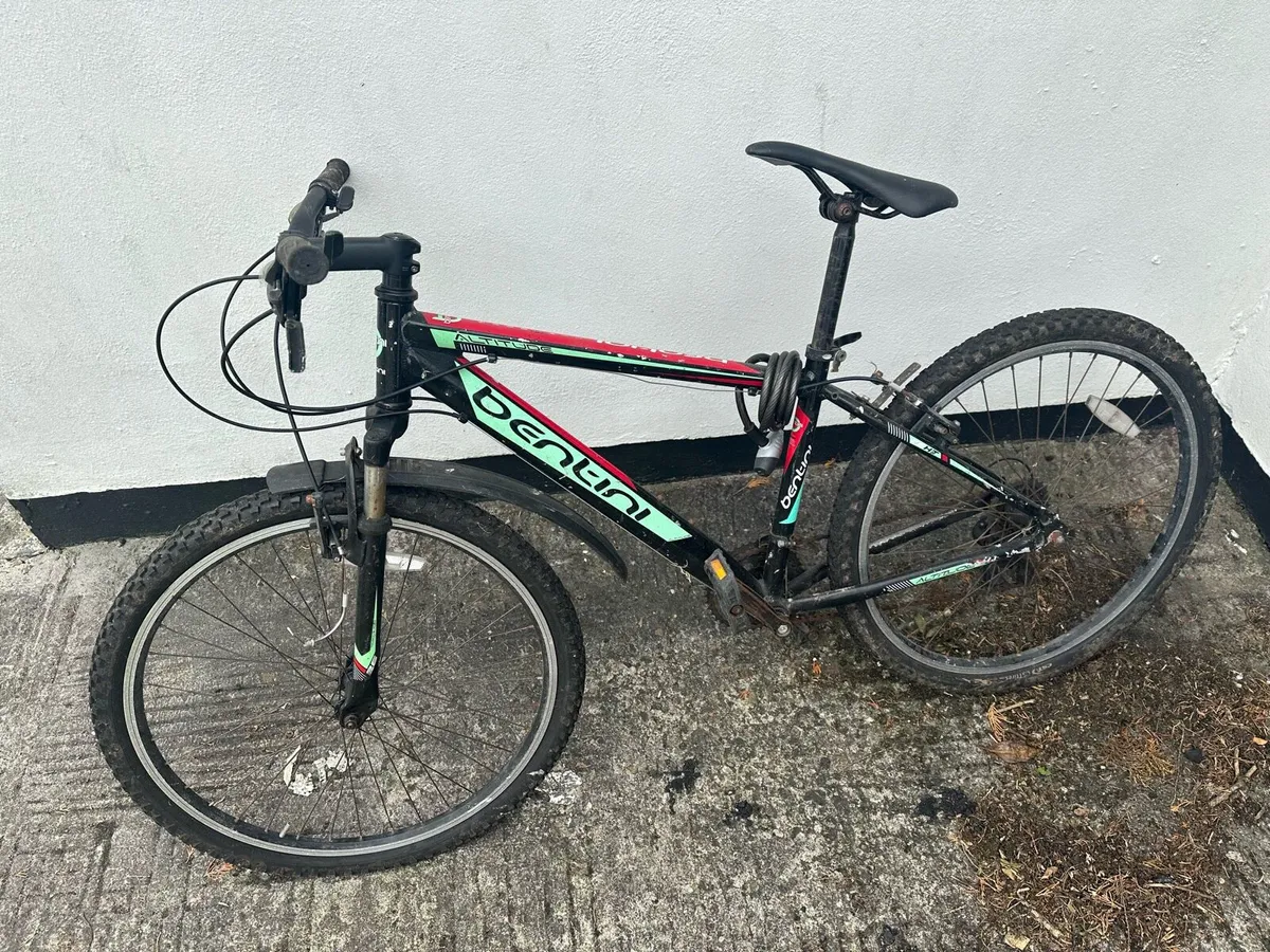 Bentini hardtail mountain bike - Image 1