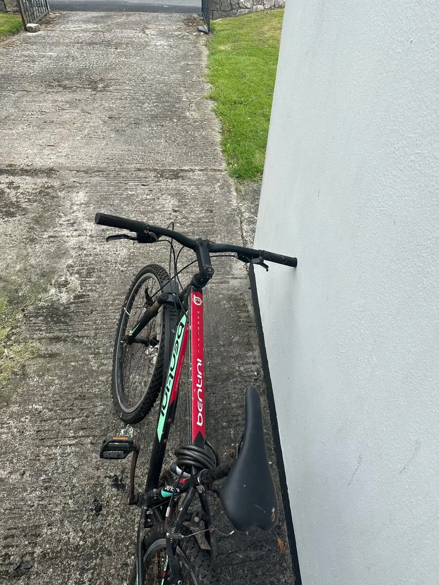Bentini hardtail mountain bike - Image 2