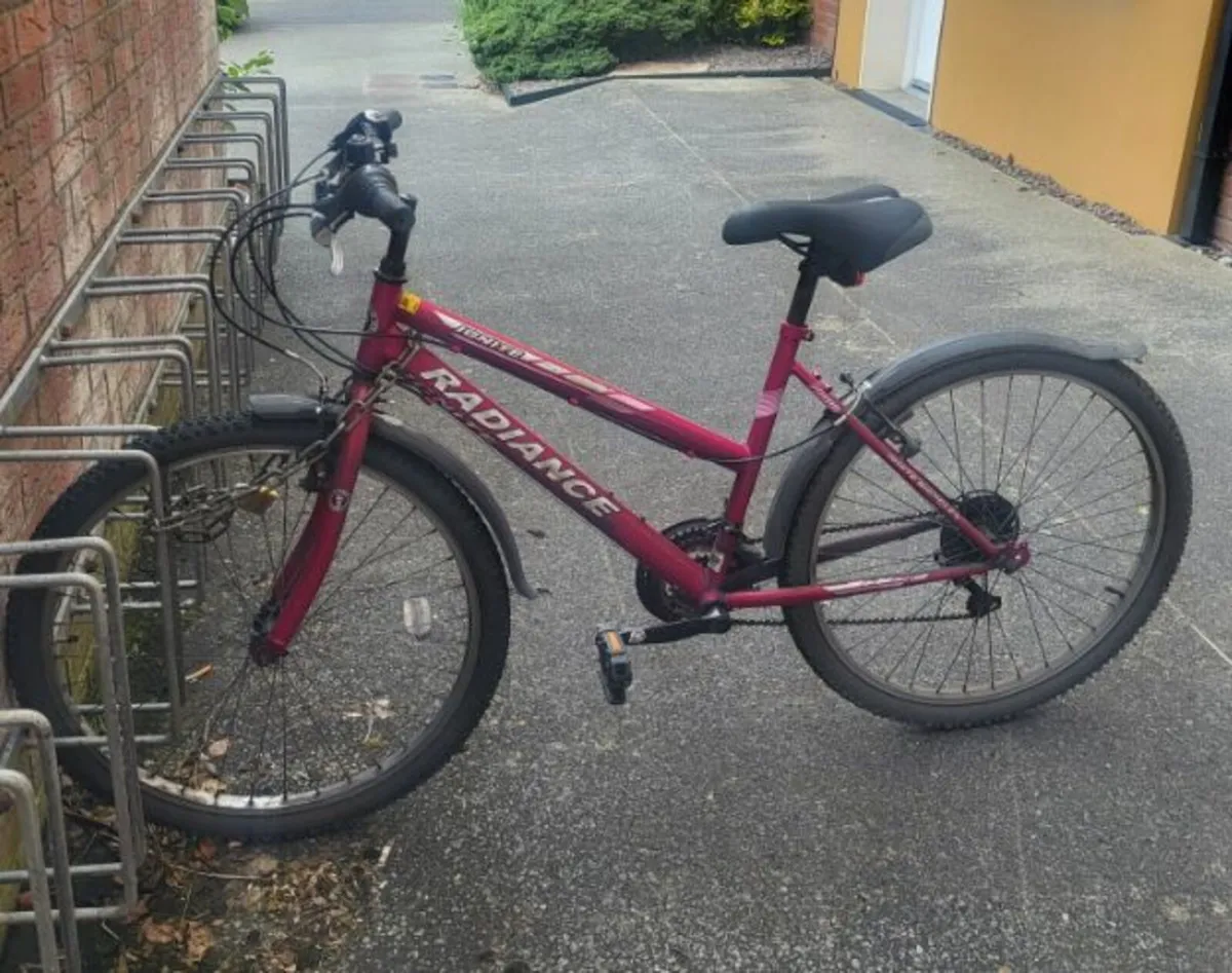 Reliable Bike for Just €100 - Image 1