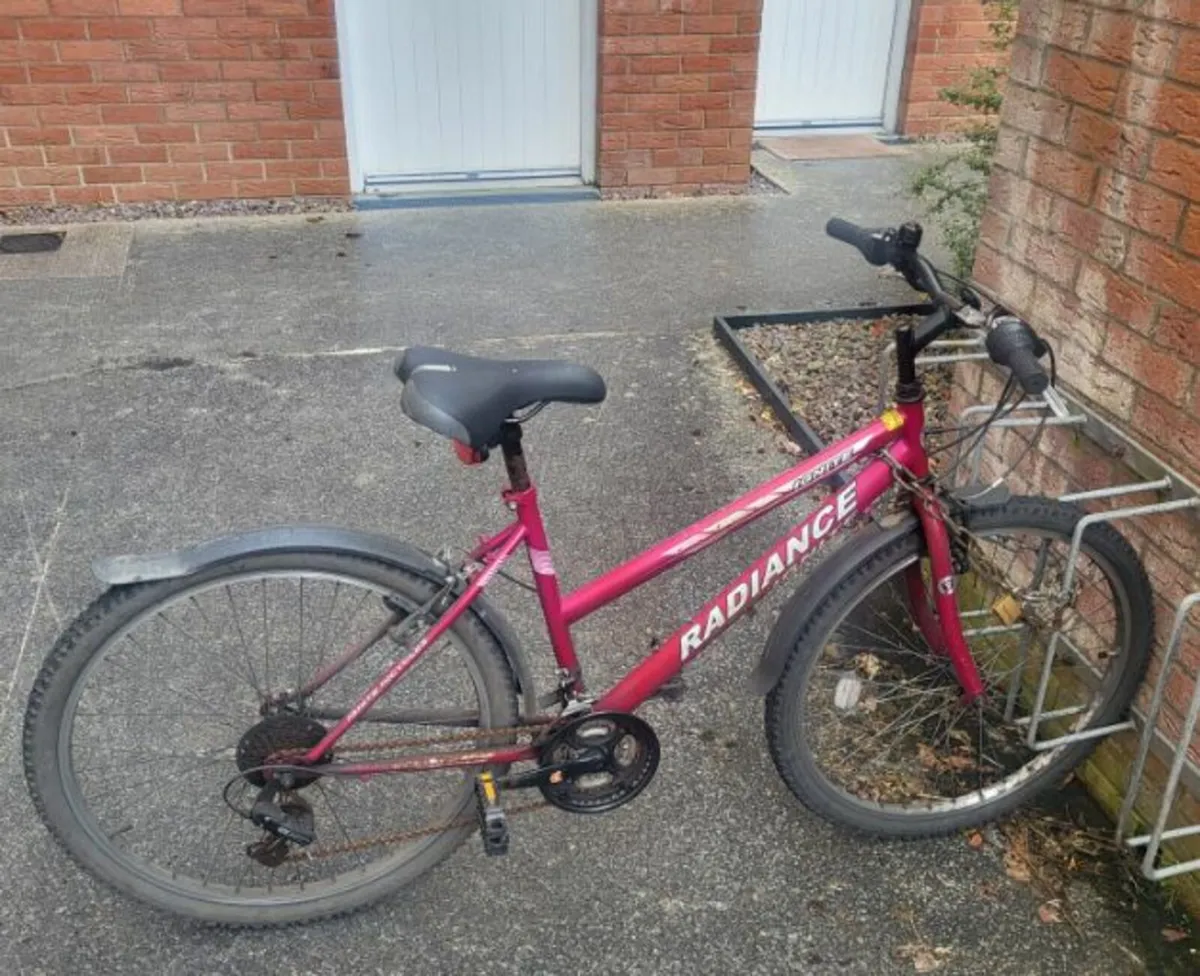 Reliable Bike for Just €100 - Image 2