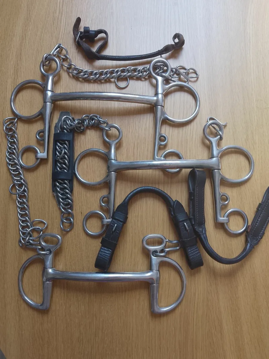 Horse Bits - Image 1