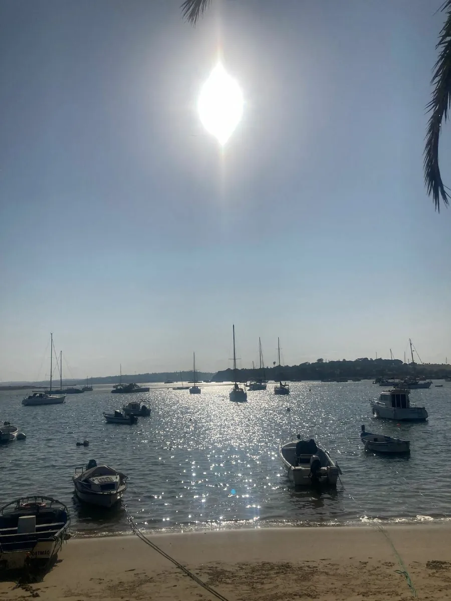 Alvor Luxury Apartment Rental - Sept to Feb - Image 3