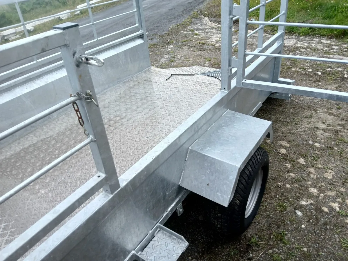 Trailer new..7/4...ramp doir sides . Delivered - Image 1