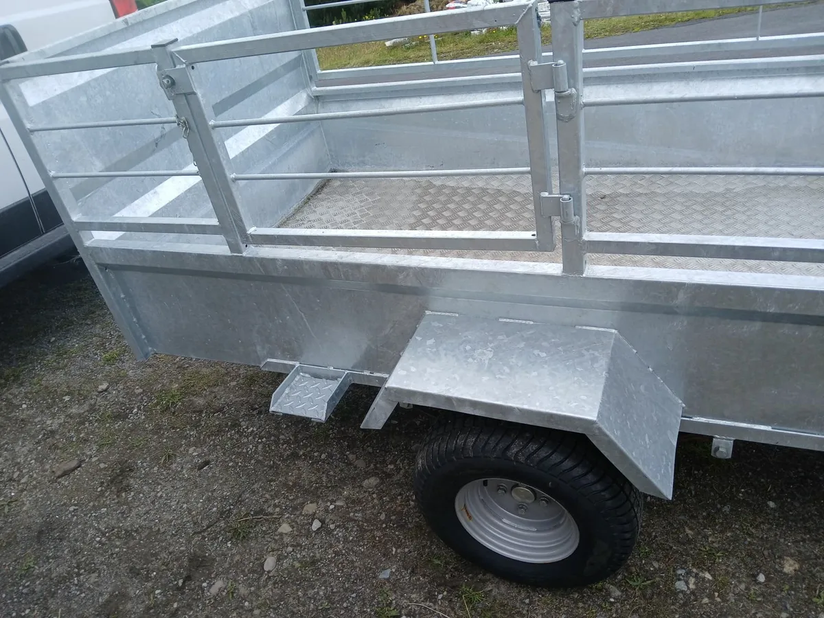Trailer new..7/4...ramp doir sides . Delivered - Image 2