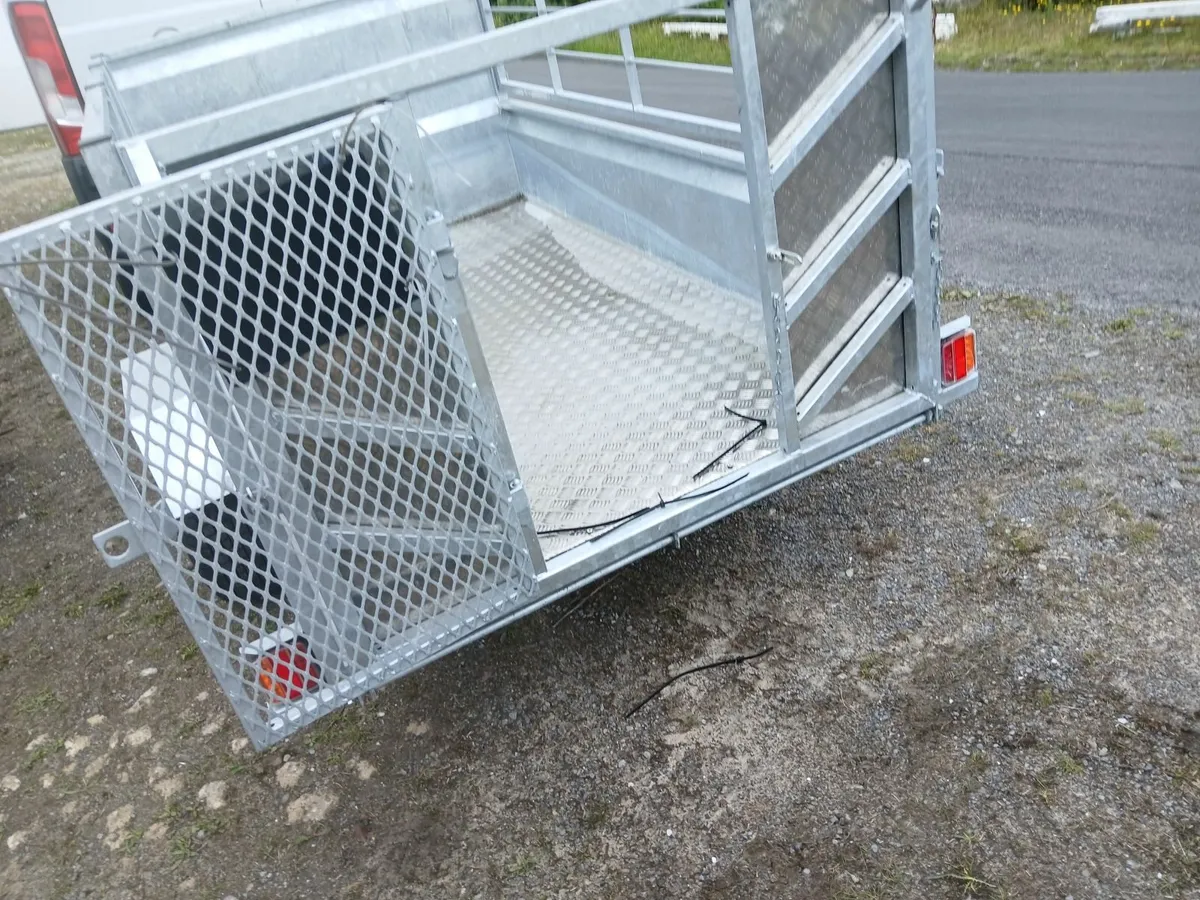 Trailer new..7/4...ramp doir sides . Delivered - Image 3