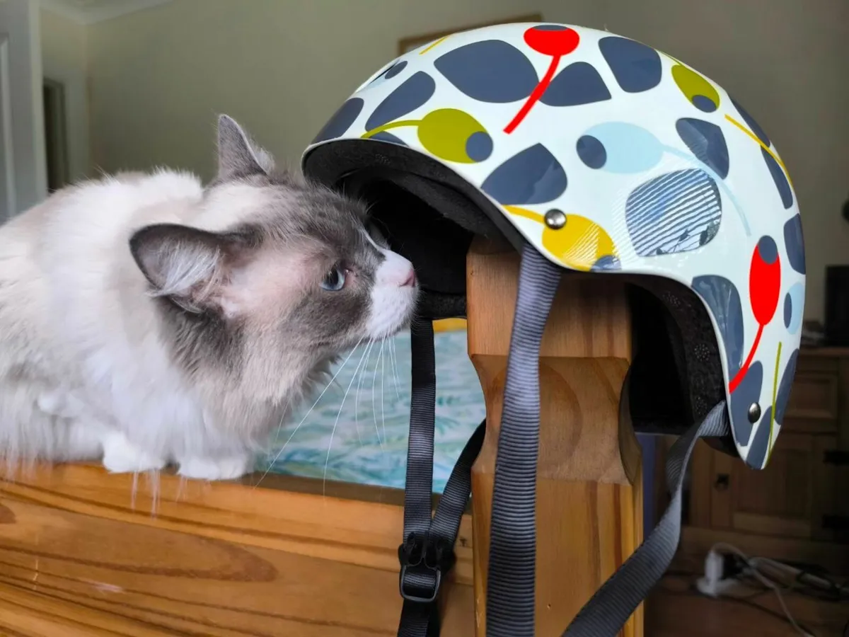 Bike helmet for women - Image 3