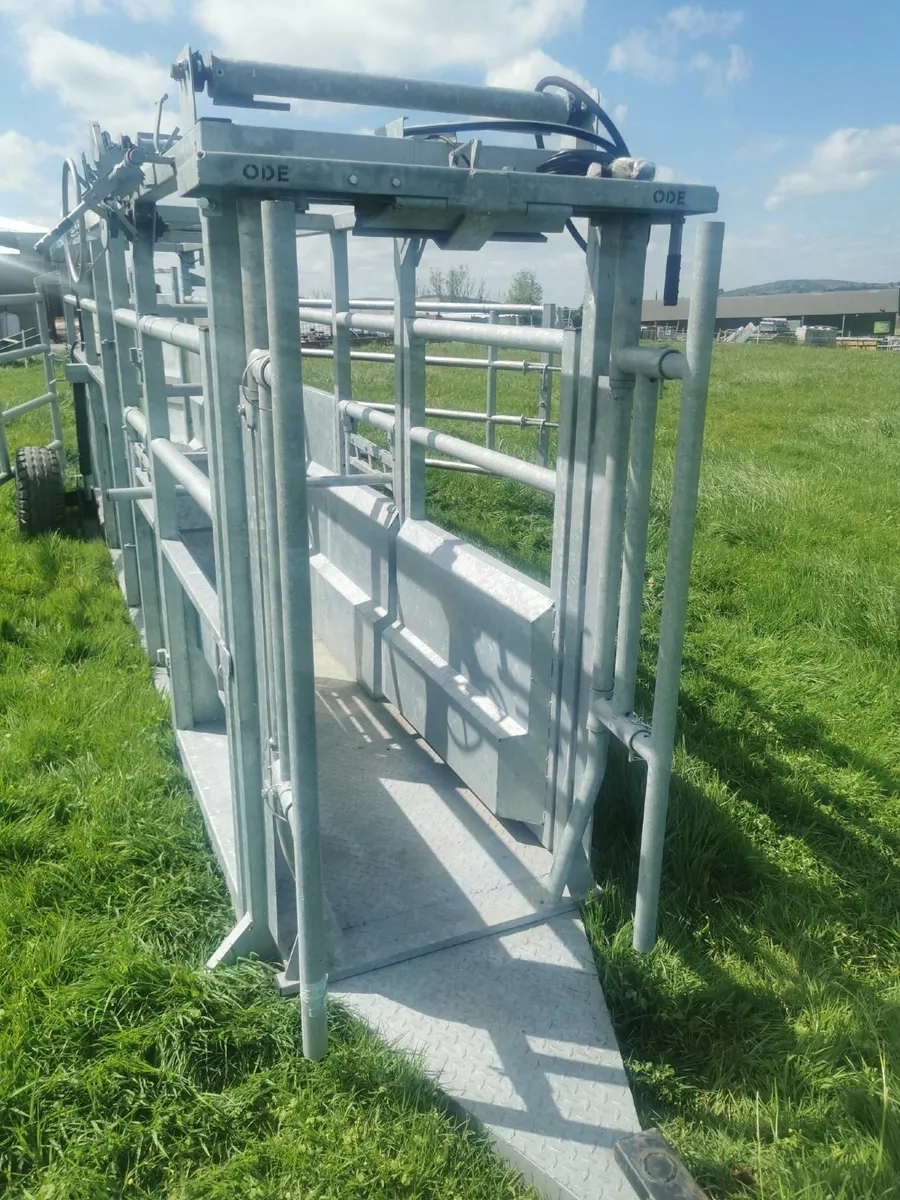 25ft  Mobile cattle crush with  Hydraulic Axle - Image 2