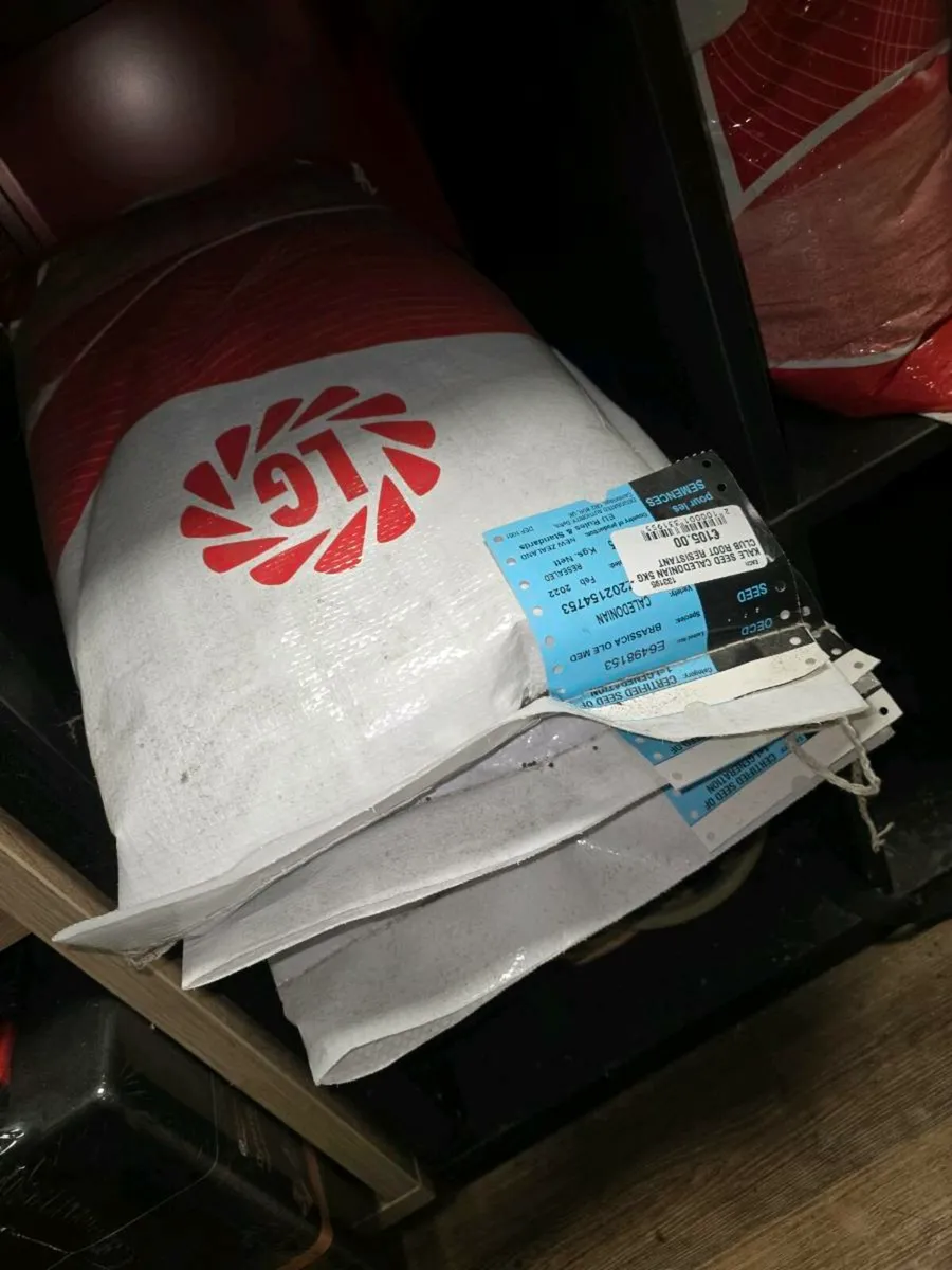 Seeds Available Kerry - Image 3