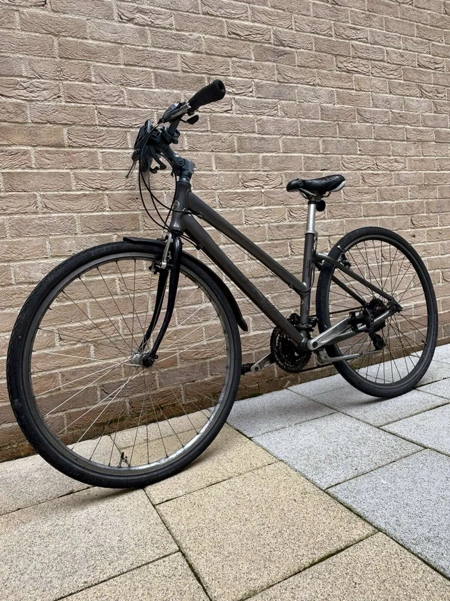 Men’s giant bicycle - Image 1