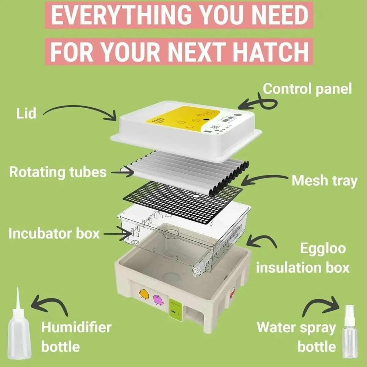 36-Egg Incubator Digital For Hatching Eggs - Image 3