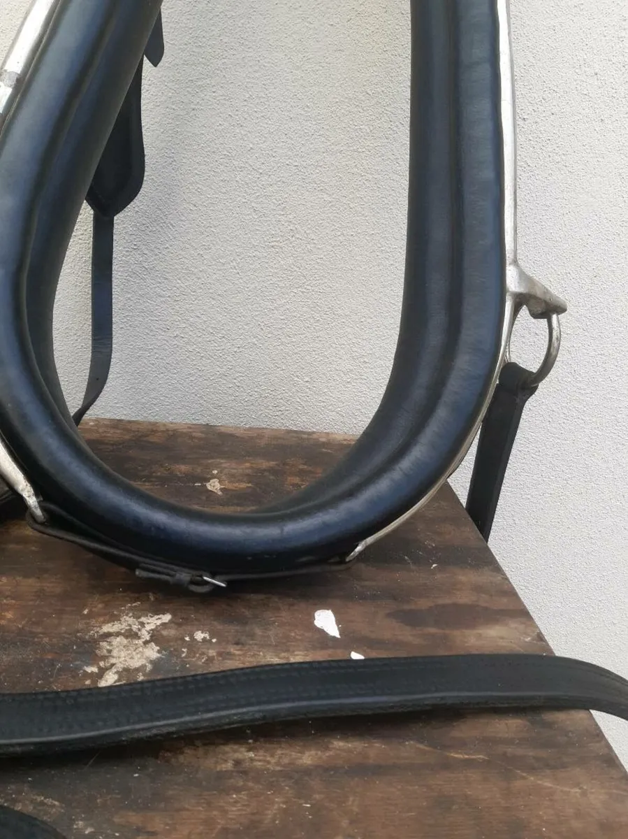 Set of English harness - Image 1