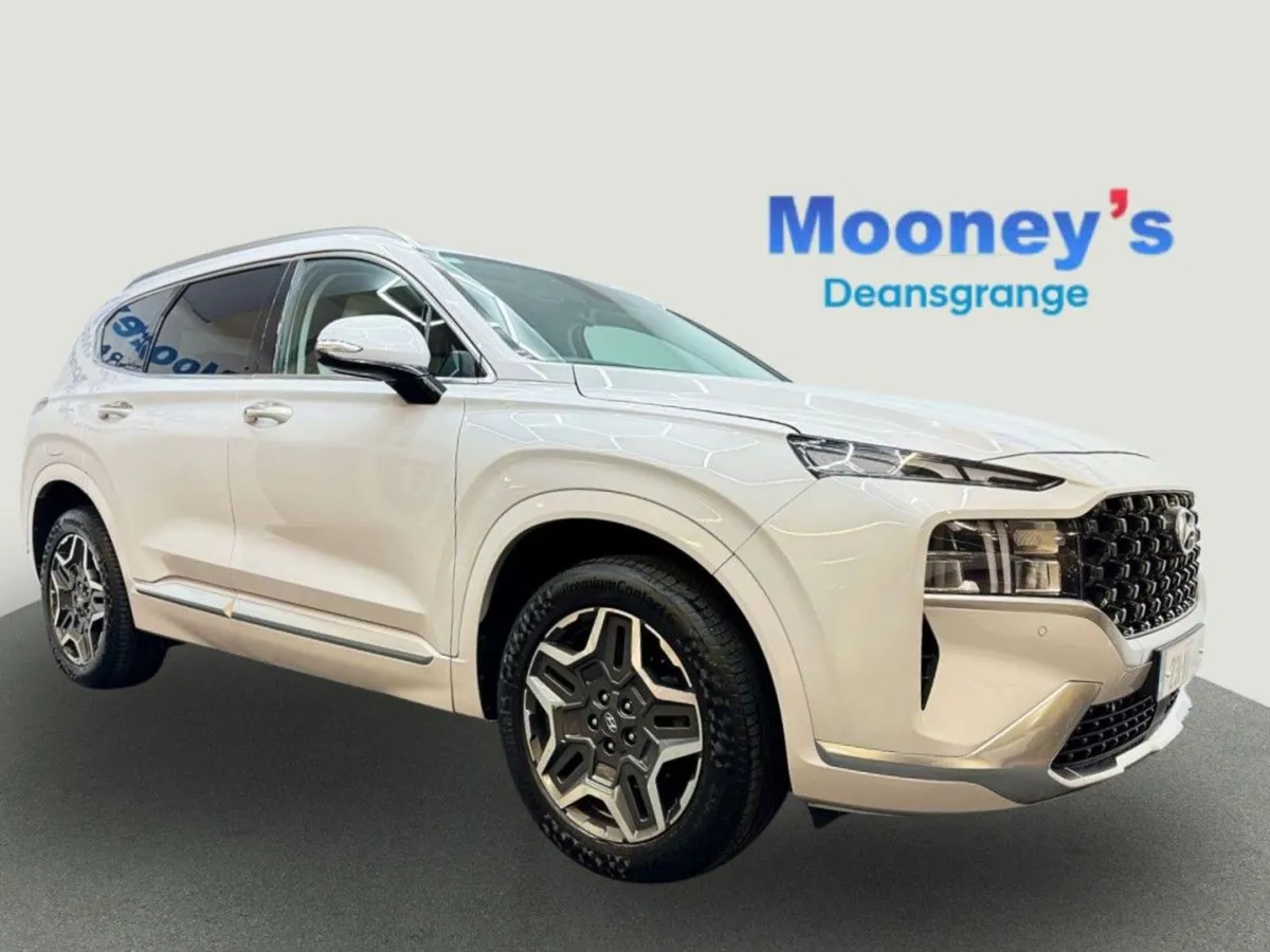 Hyundai Santa Fe 1.6 Plug IN Hybrid 4WD Executive - Image 3