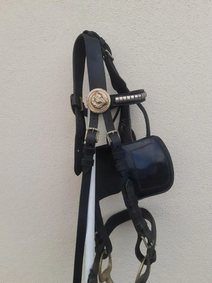 Set of English harness - Image 2