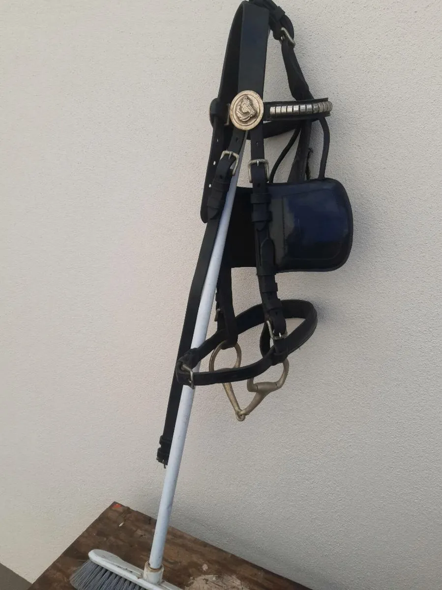 Set of English harness - Image 3