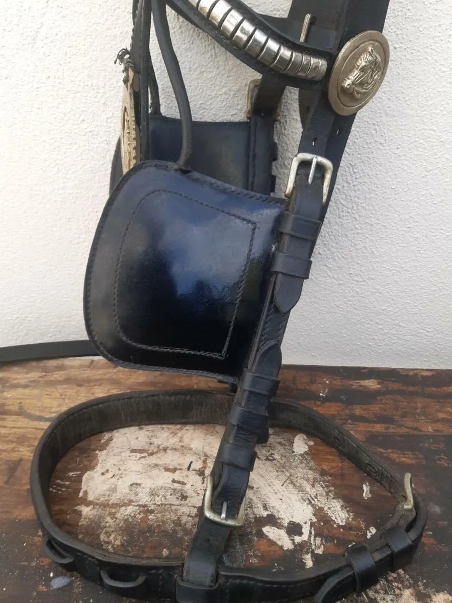 Set of English harness - Image 4