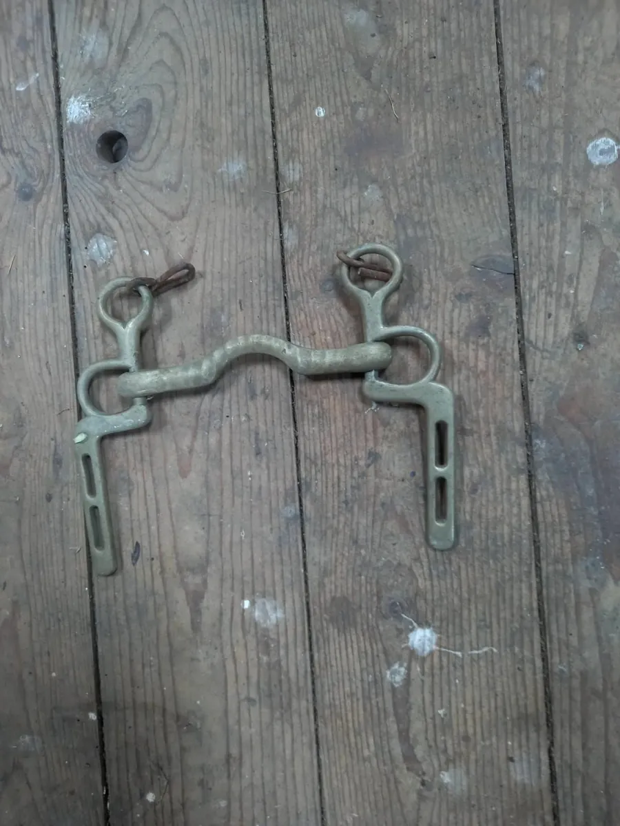 Horse bits