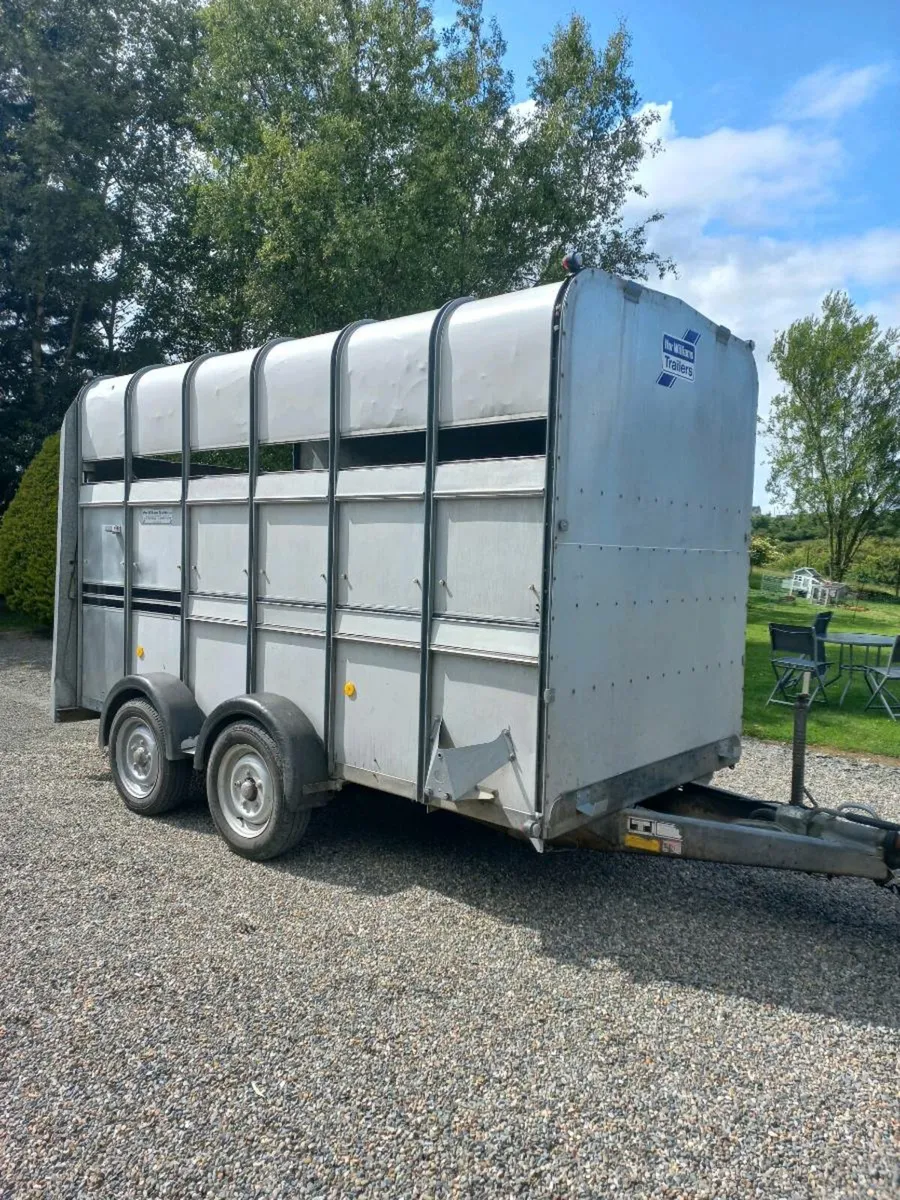 Ifor Williams 12 x 6 High Roof Horse/ Cattle Box - Image 1
