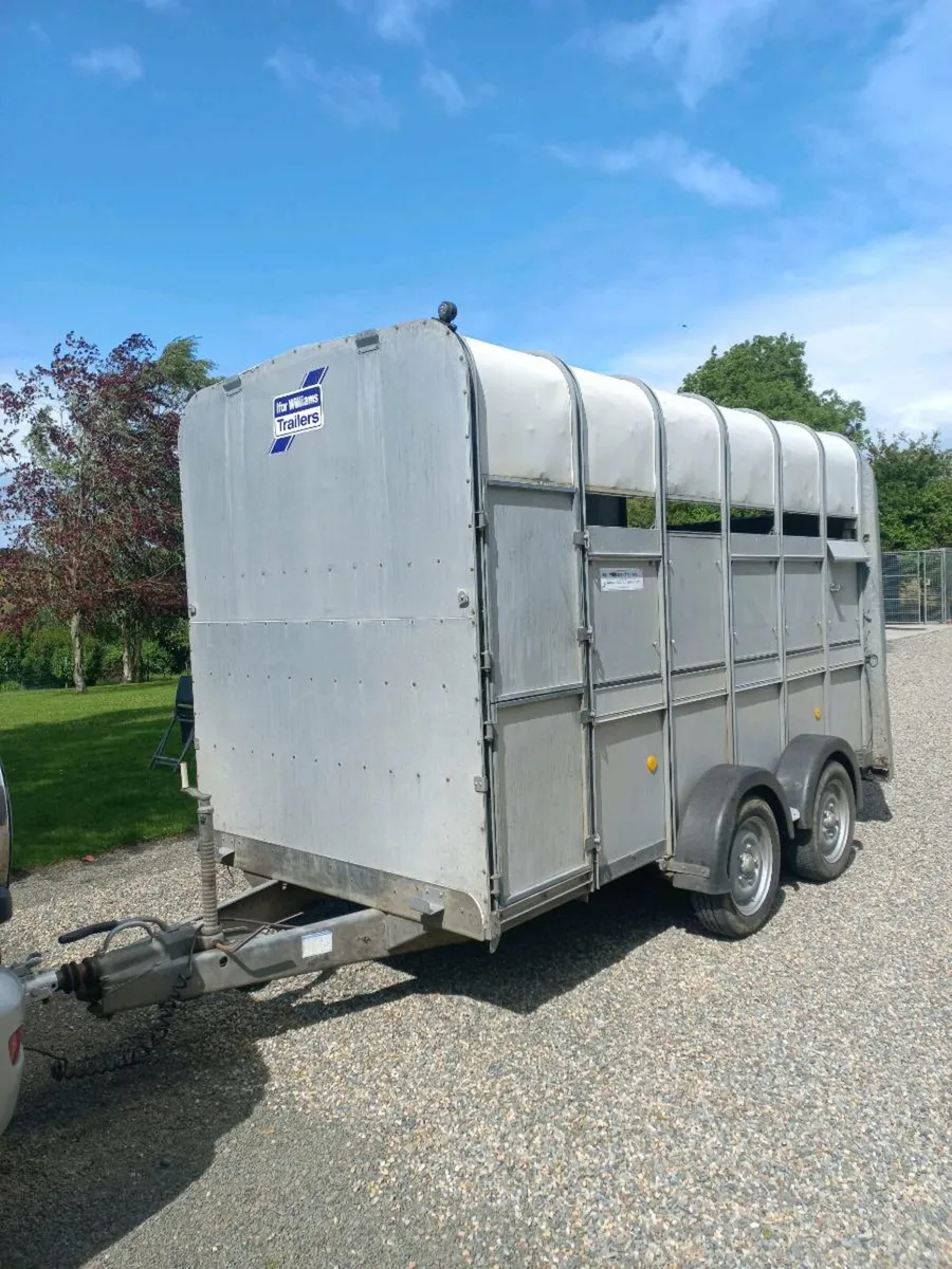 Ifor Williams 12 x 6 High Roof Horse/ Cattle Box - Image 2