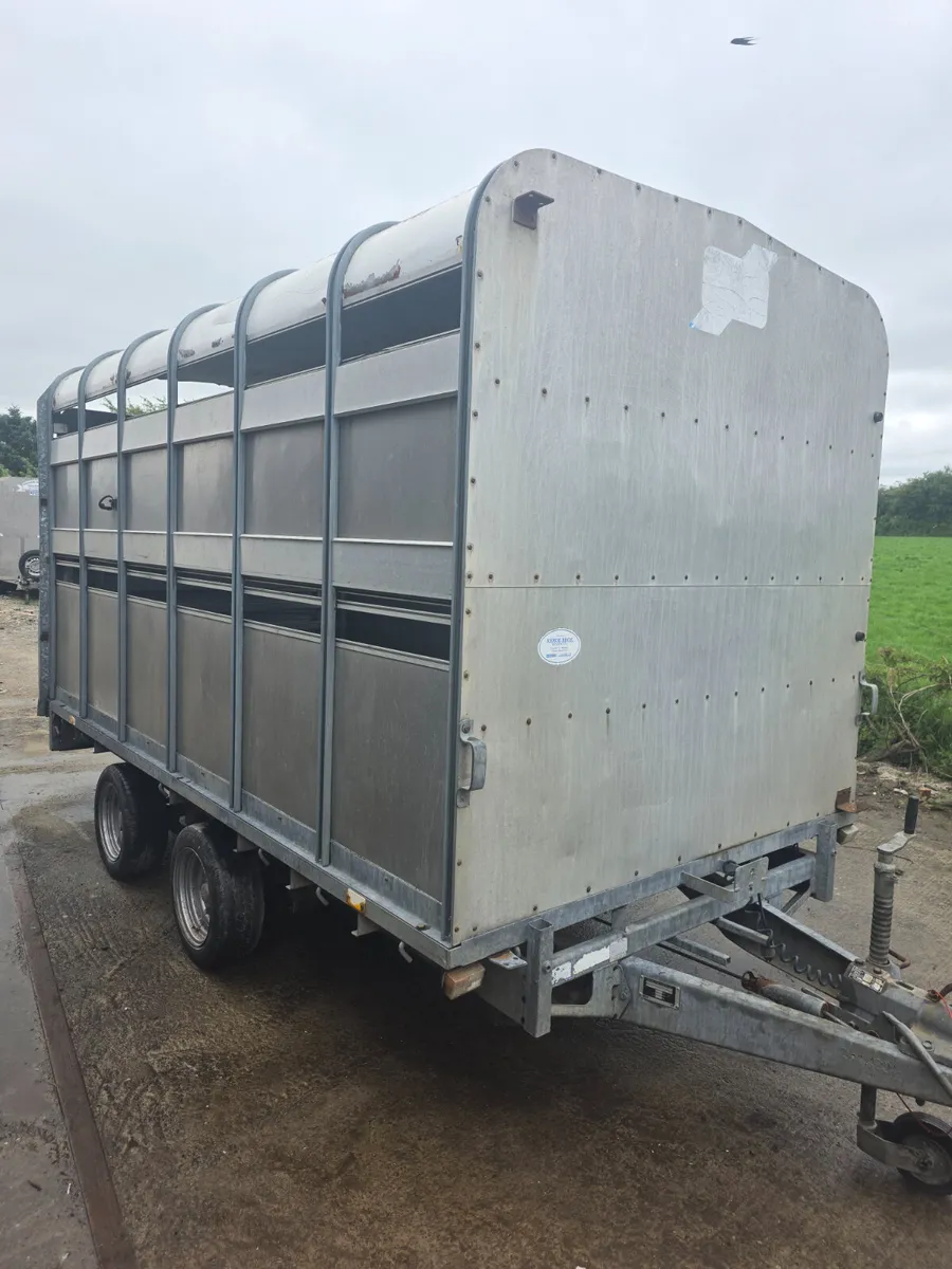 12ft ifor Williams livestock trailer - Image 1