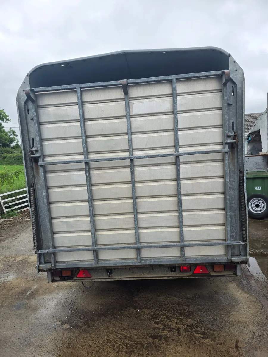 12ft ifor Williams livestock trailer - Image 2