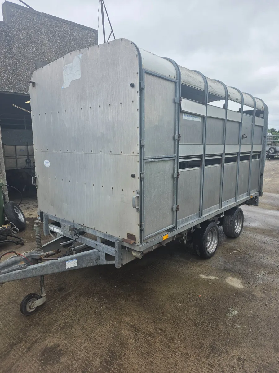 12ft ifor Williams livestock trailer - Image 4