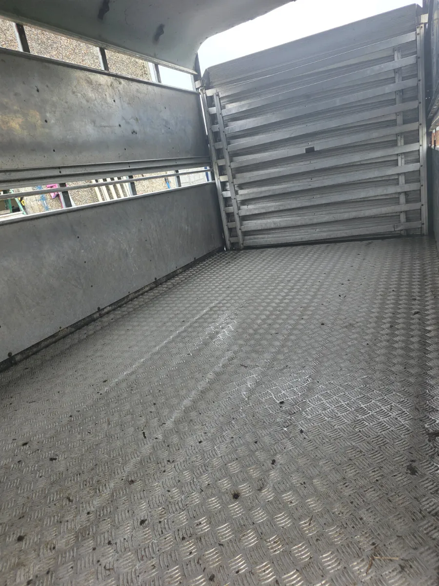 12ft ifor Williams livestock trailer - Image 3