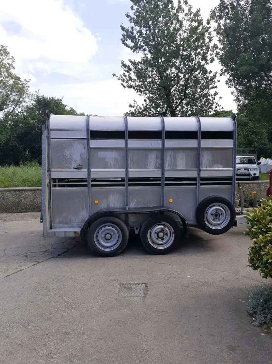 Ifor Williams cattle trailer - Image 3