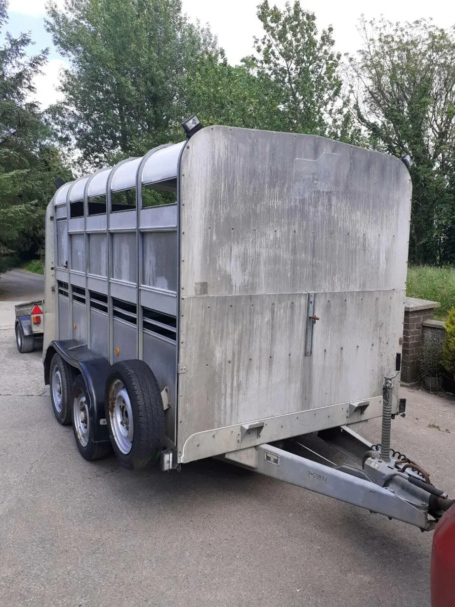Ifor Williams cattle trailer - Image 4