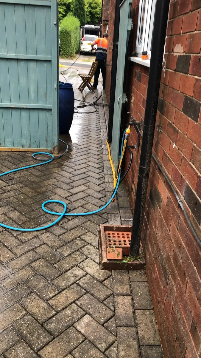 Stem cleaning - Image 2