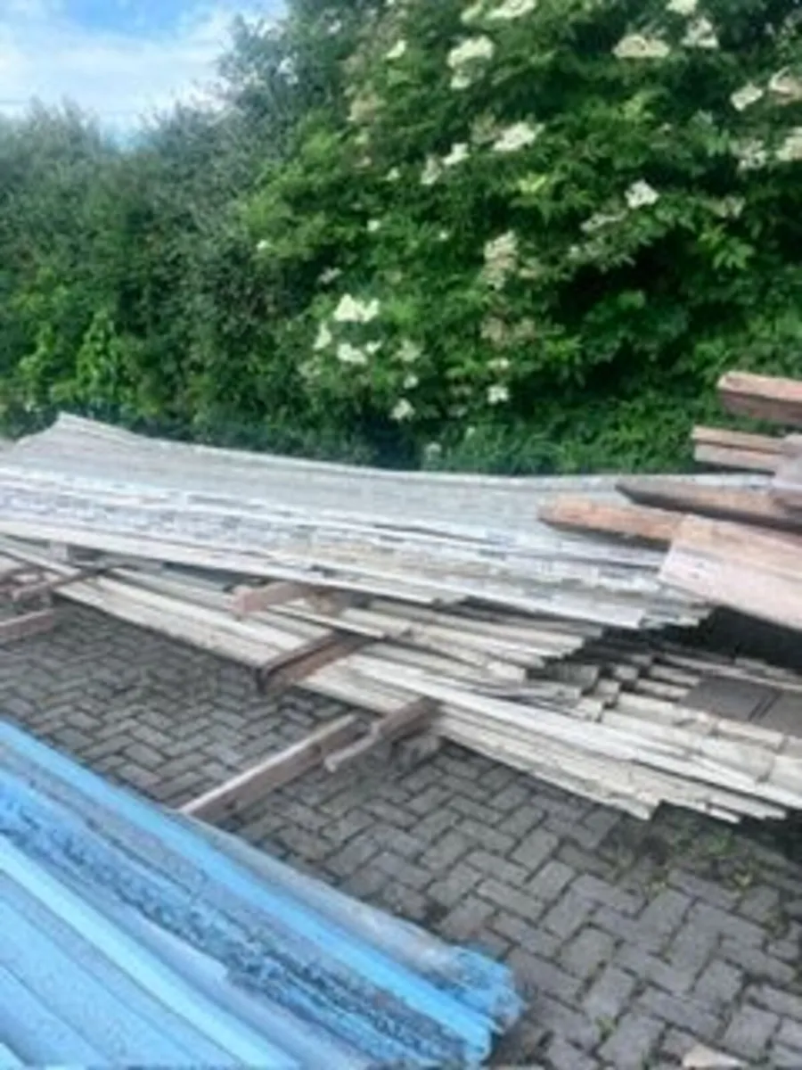 Shed - Image 3