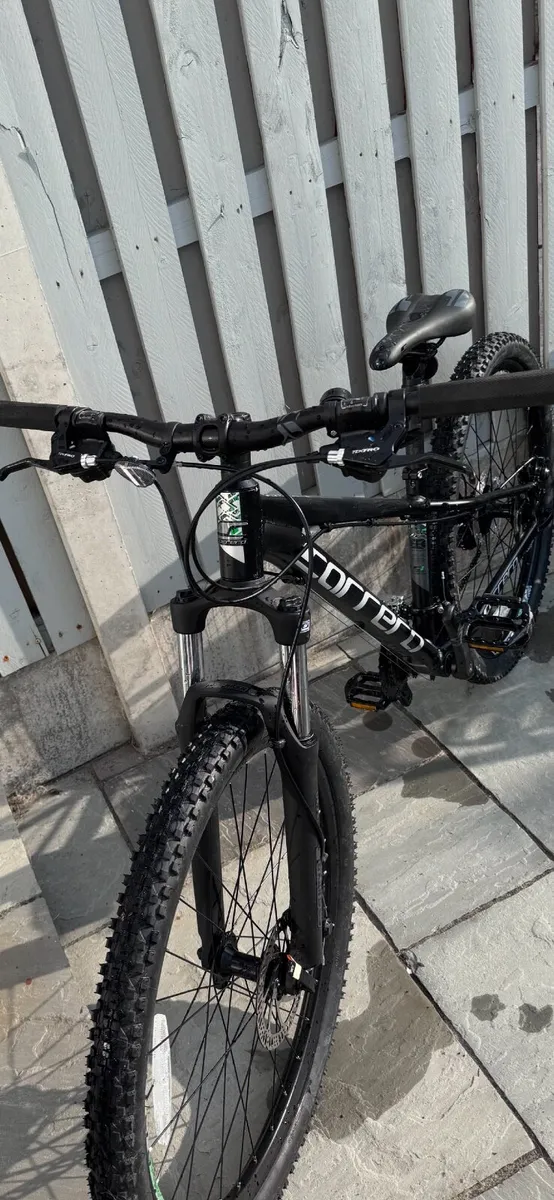 Bike - Image 2