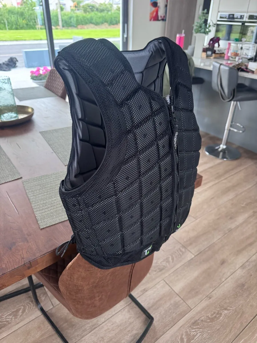 Back protector - Image 1