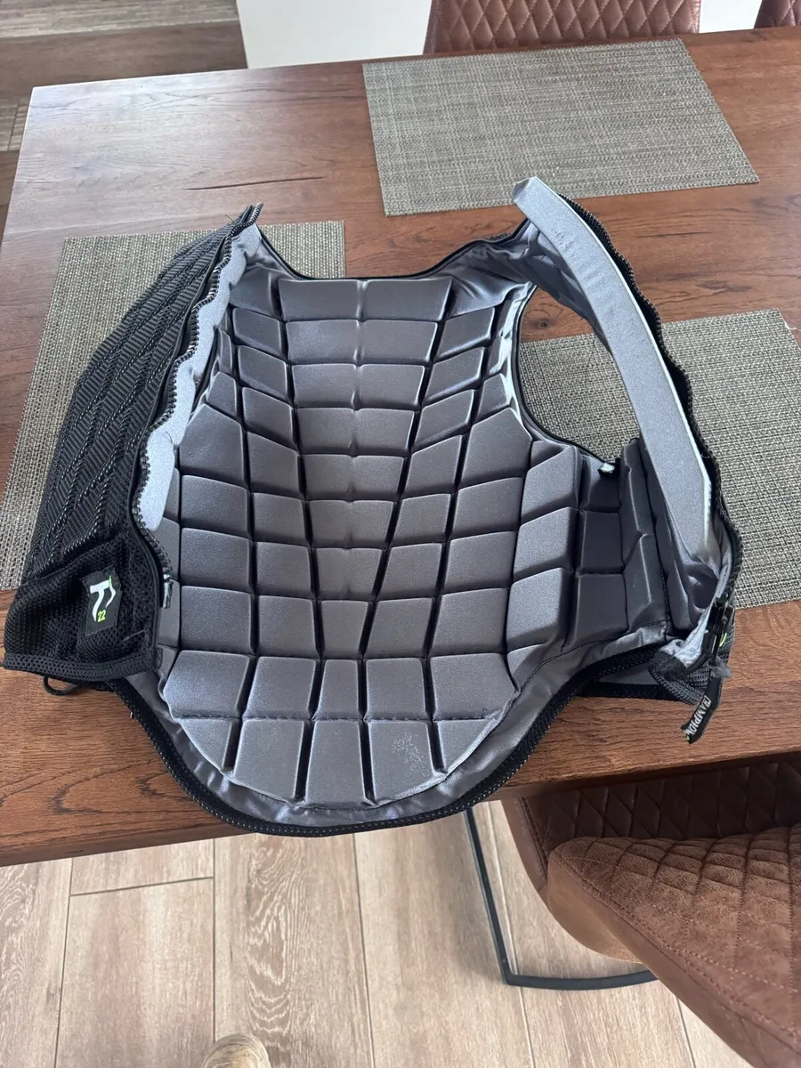 Back protector - Image 4