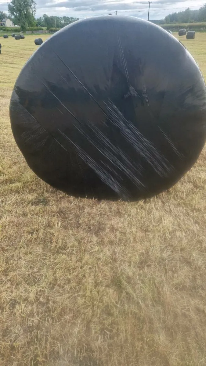Bales of silage - Image 2