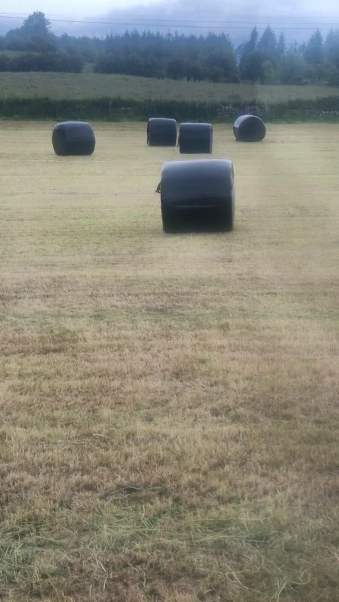 Bales of silage - Image 3