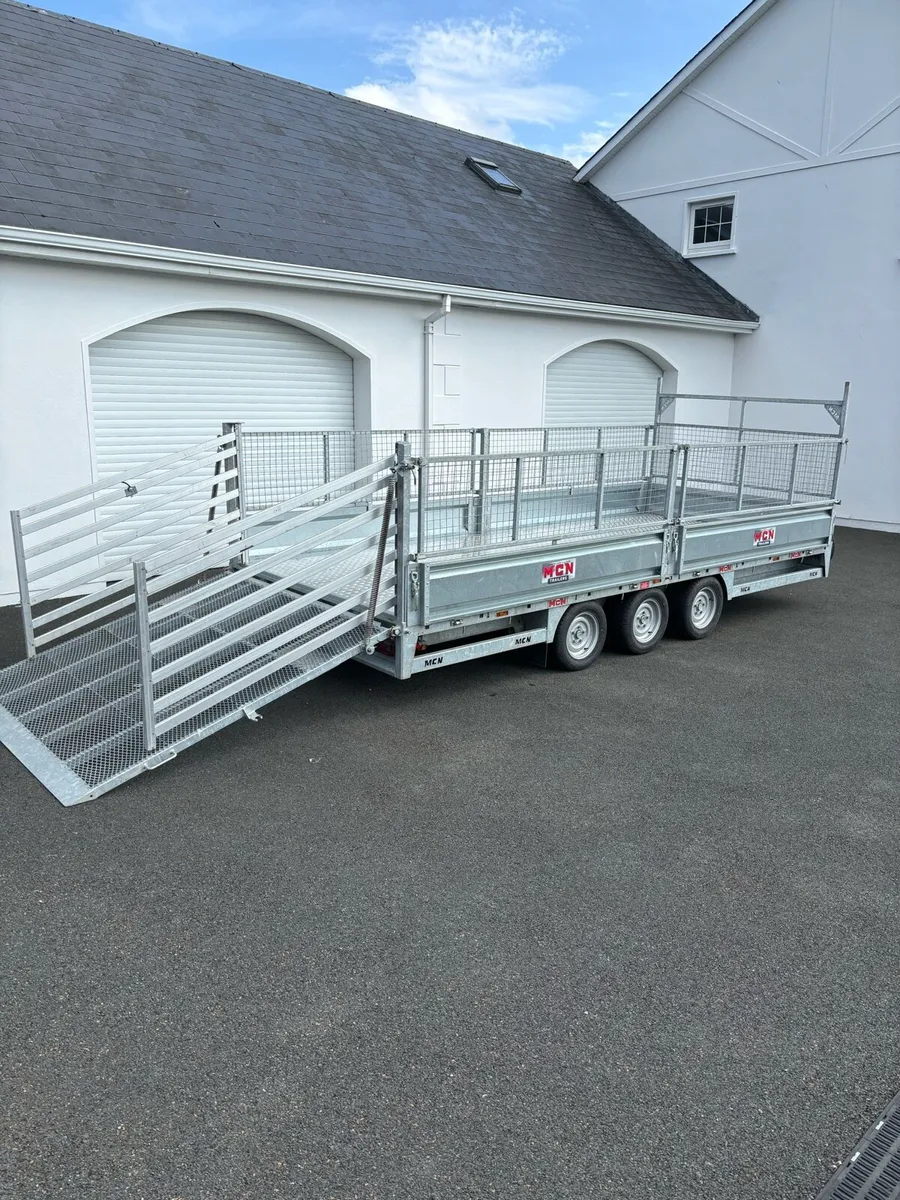 16ft tri axle trailer with lots of extras - Image 1